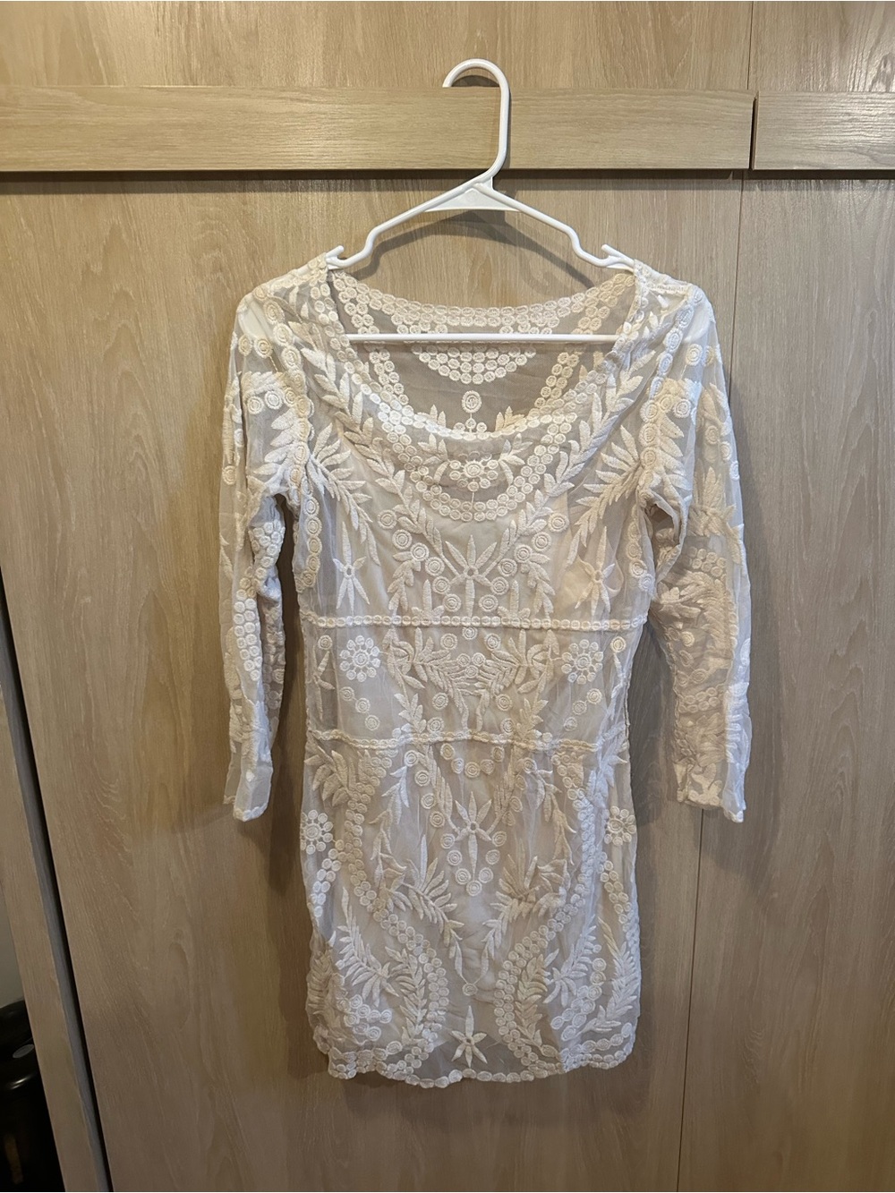 Express White Embroidered Long-Sleeve Sheer Dress